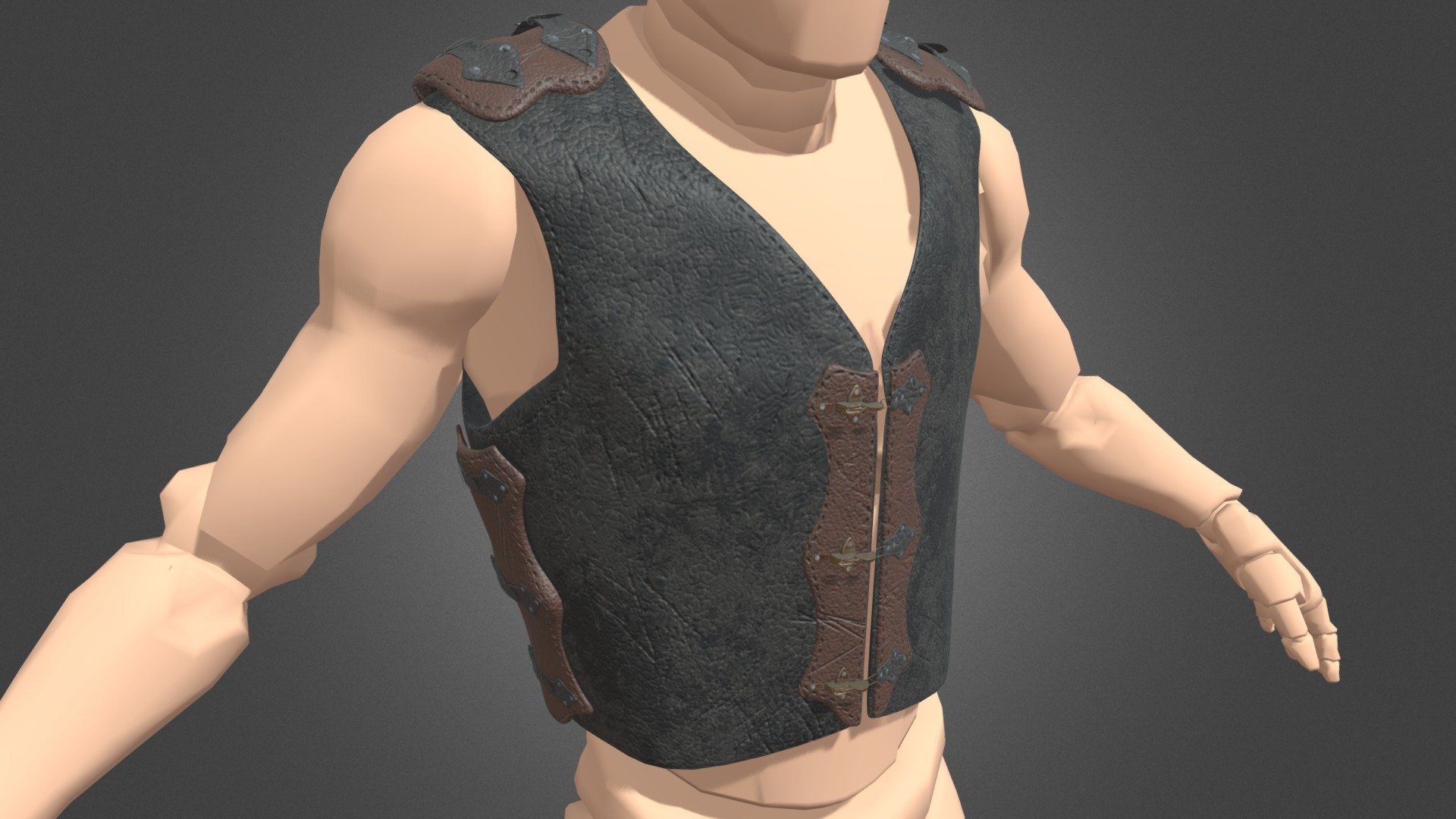 Leather Vest
