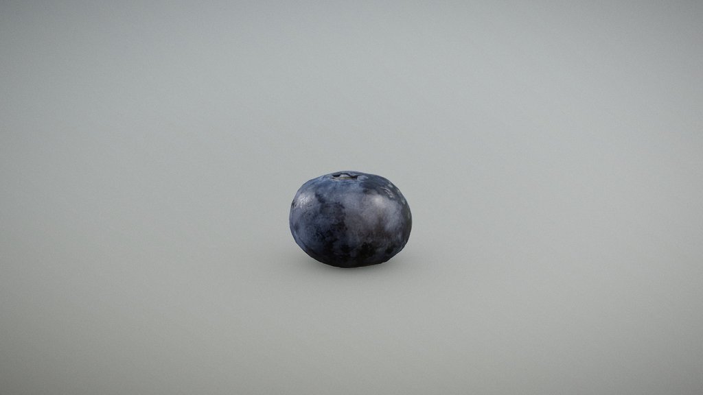Gourmet Blueberry