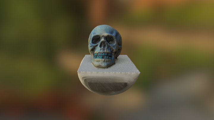 Skull Figure 3D Model