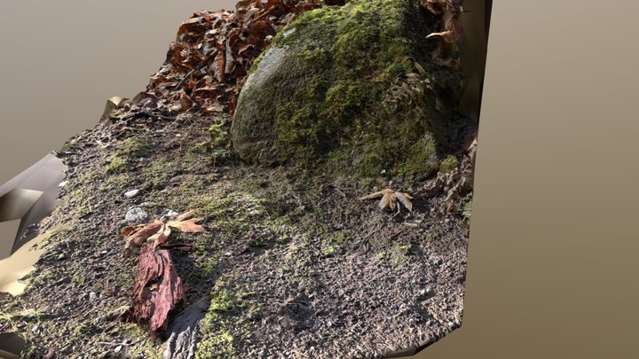 moss stone 3D Model