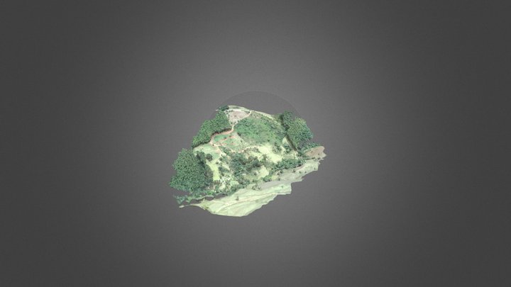 Ceravolo pix4d_simplified_3d_mesh 3D Model