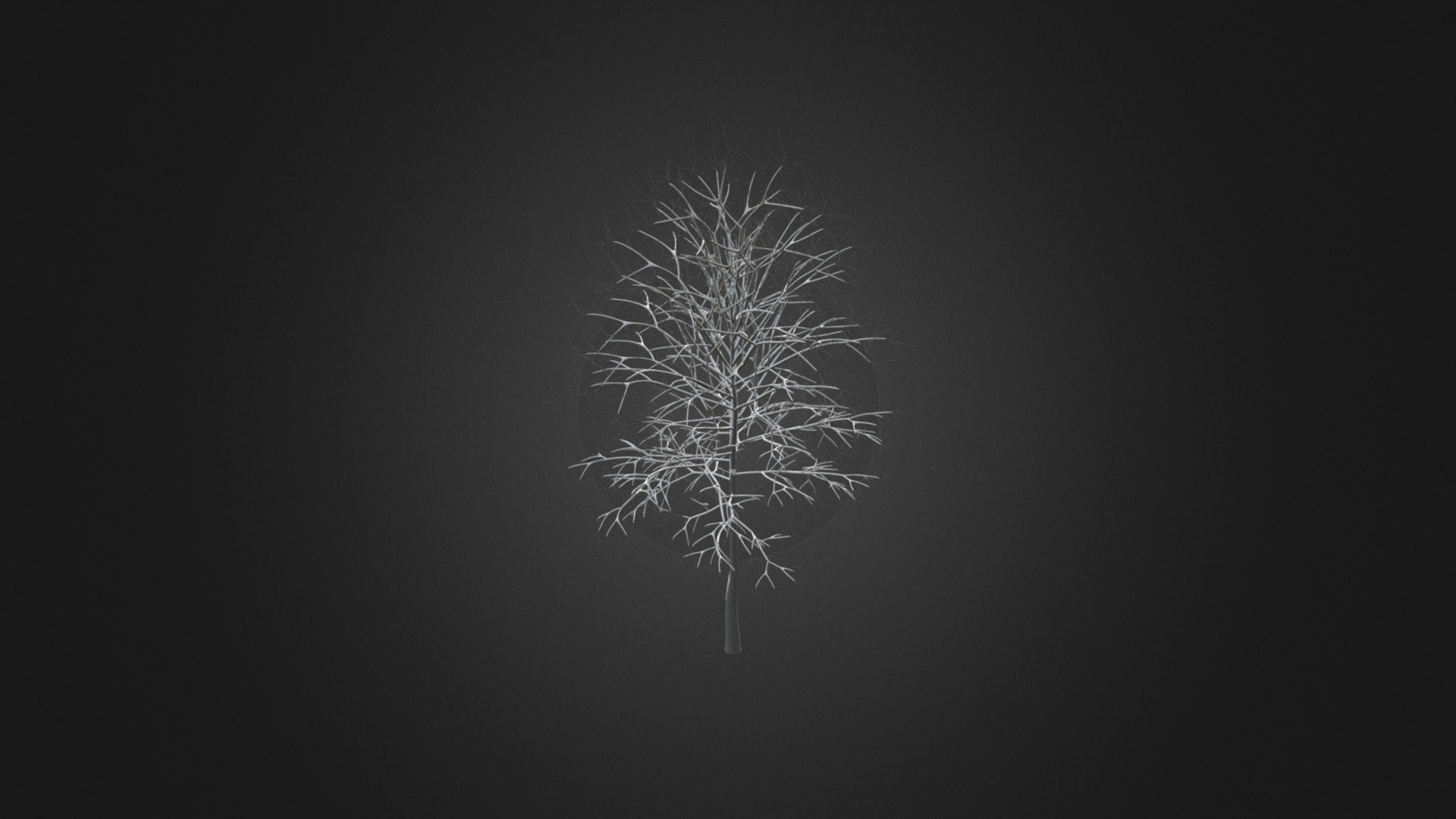 3D model Sugar Maple with Snow 3D Model 7.3m - This is a 3D model of the Sugar Maple with Snow 3D Model 7.3m. The 3D model is about a white tree with a black background.