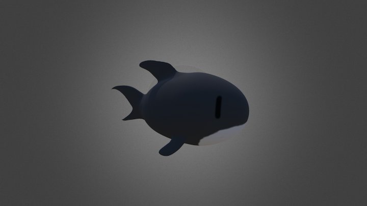 Shark 3D Model