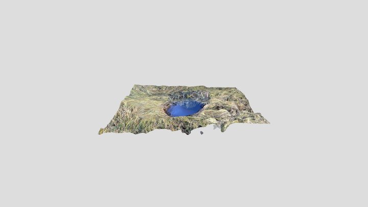 Swamptown grassy hole 3D Model