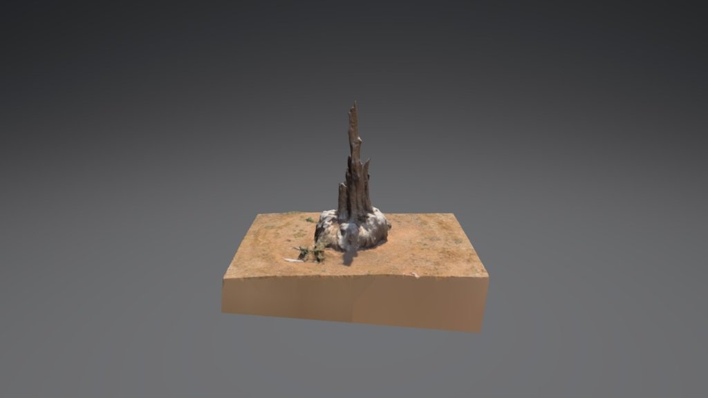 long-dead tree stump - 3D model by carljung [62fcae0] - Sketchfab