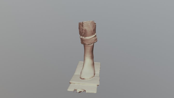 Ideal 3D Model