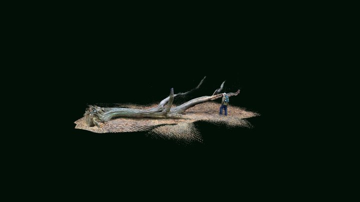 Man & Fallen Tree 3D Model