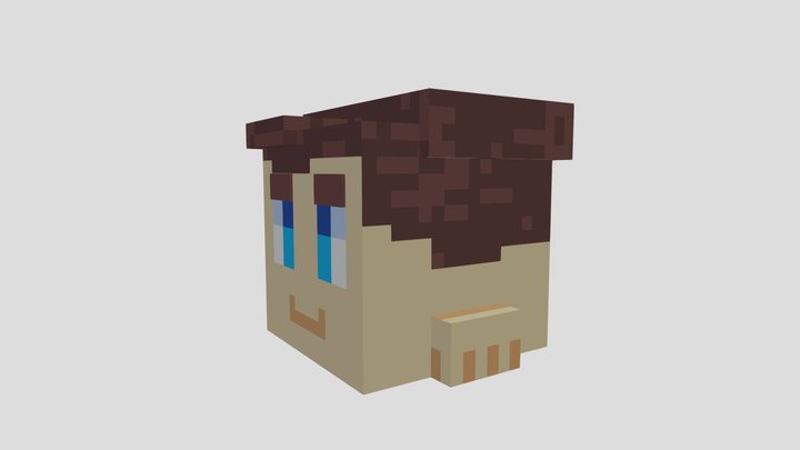 Guy Cube 3D Model