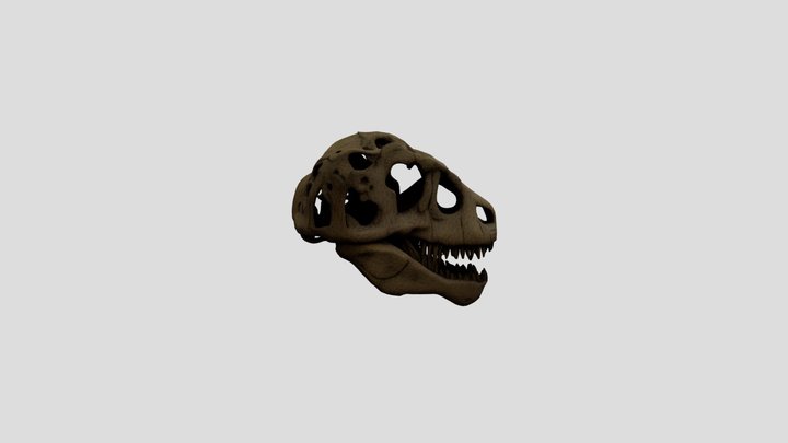 T- Rex Skull