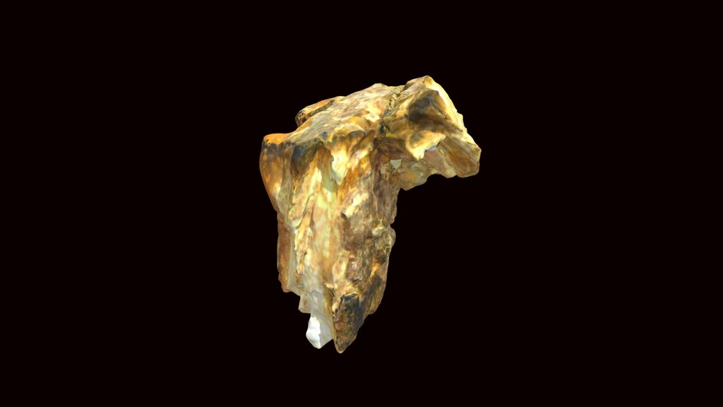 Mastodon molar fragment (VCU_3D_4196)