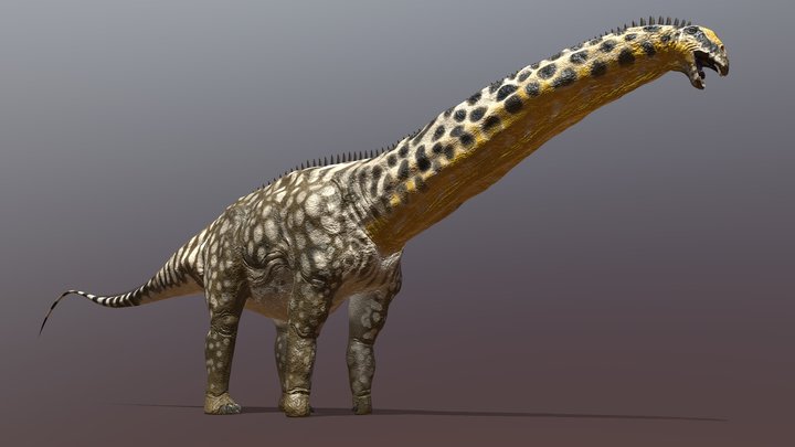 Brontosaurus excelsus 3D Model