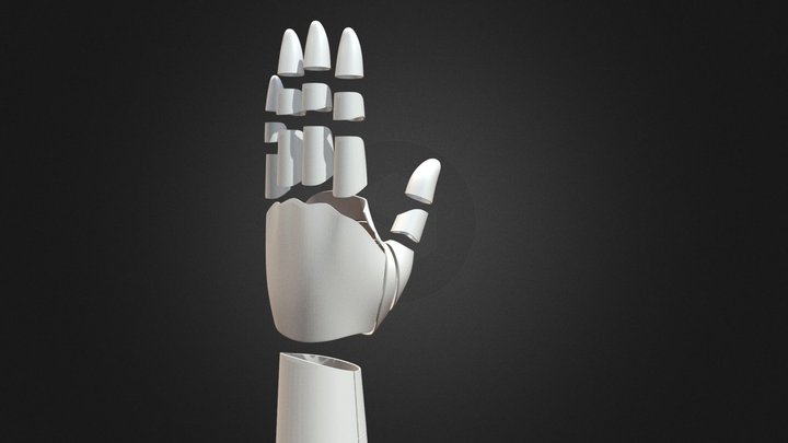 Cyber Hand 3D Model