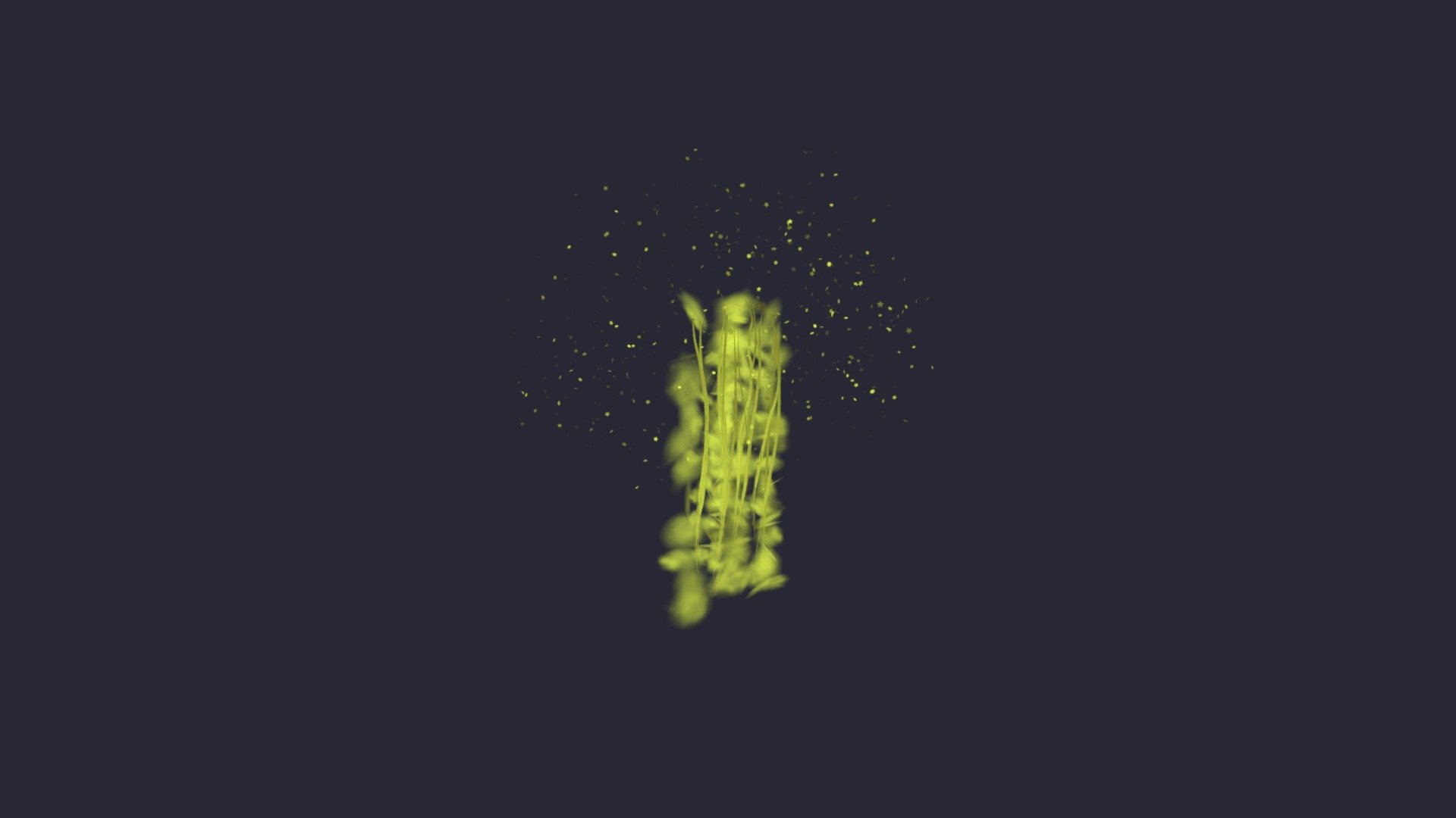 lichter_stars