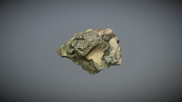 Test EinScan Pro - Fossil 3D Model
