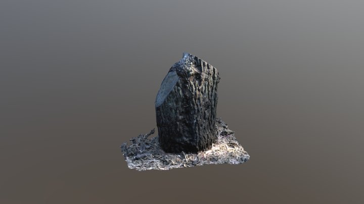 Stump Sony Simplified 3d Mesh 3D Model