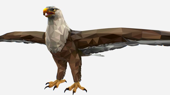 low poly art  Bald Eagle Bird 3D Model