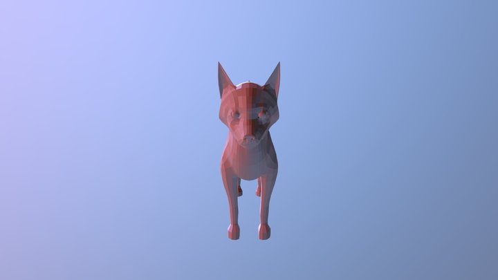 Dog model exercise 3D Model