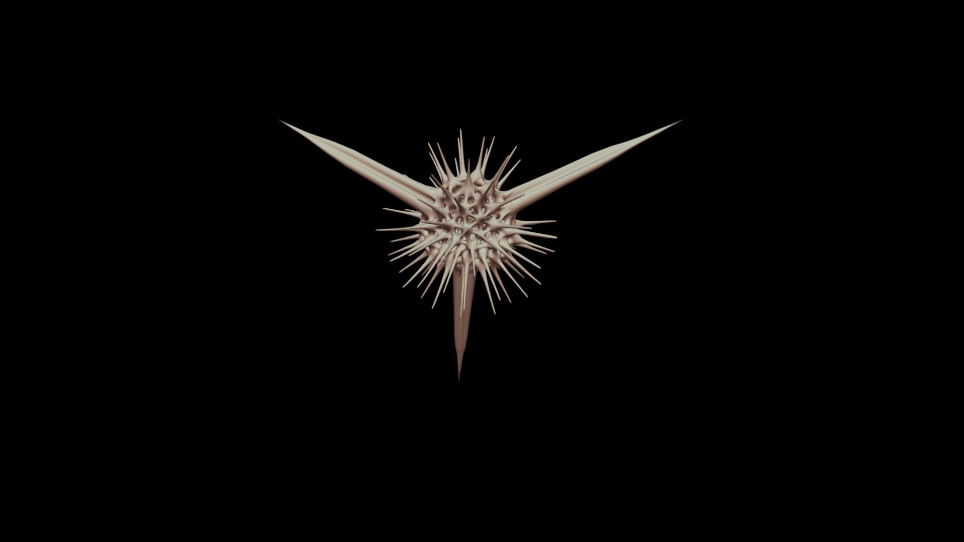 Alievium sp. 1270