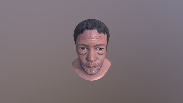 Bust Sculpting Study 3D Model