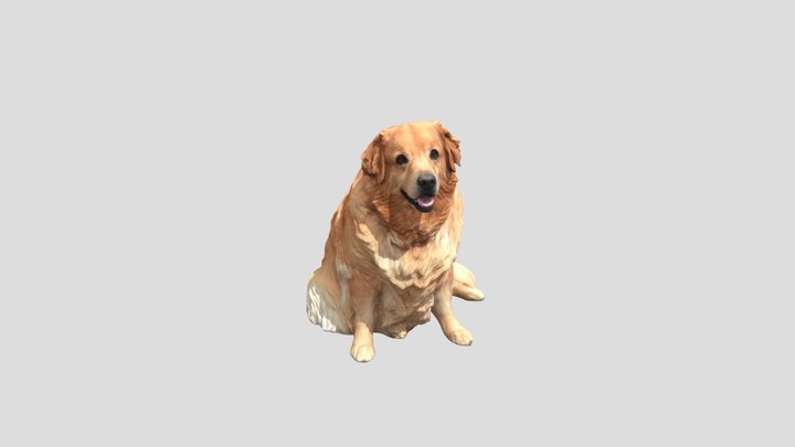 DAT0916 3D Model