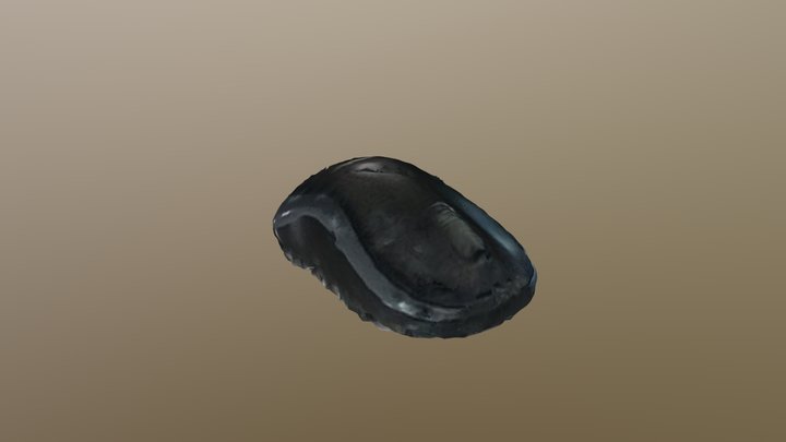 New Qlone 3D Model