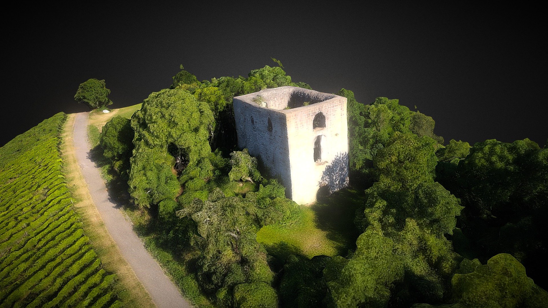 Burgruine Helfenberg (Ilsfeld)