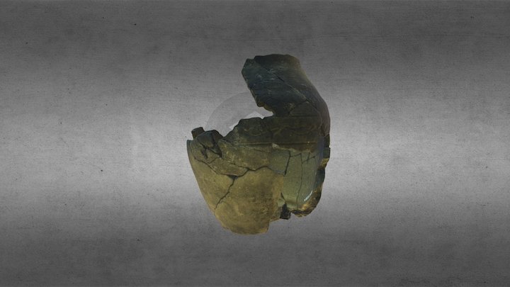 Olla visigoda de Navalvillar 3D Model