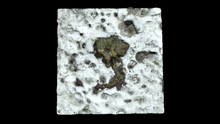 Stump in snow 3d scan 3D Model
