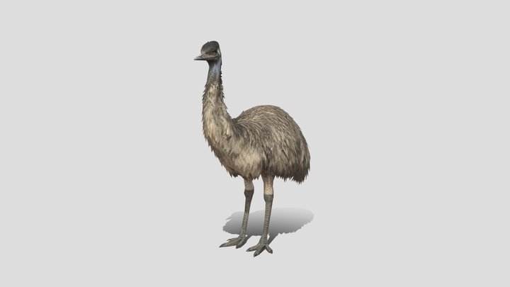 Emu