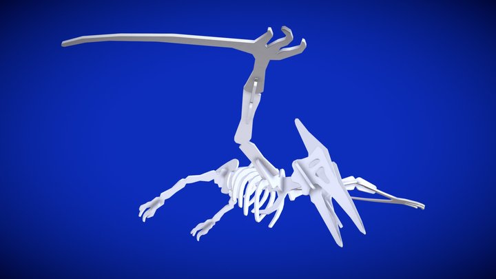 Pterodactly Complete 3D Model