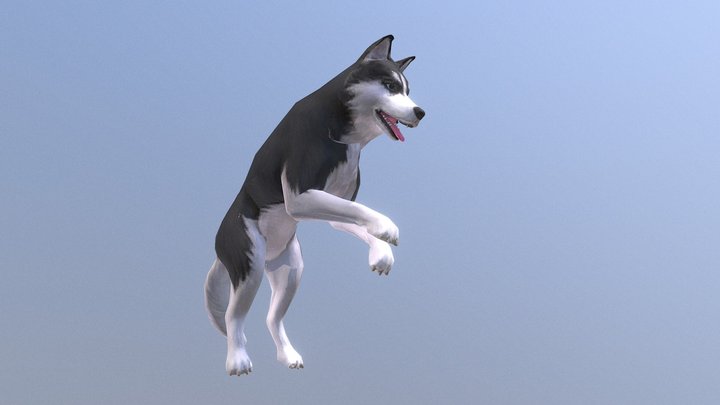 Husky 3D models - Sketchfab