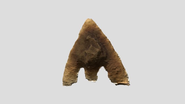 arrowhead 3D Model