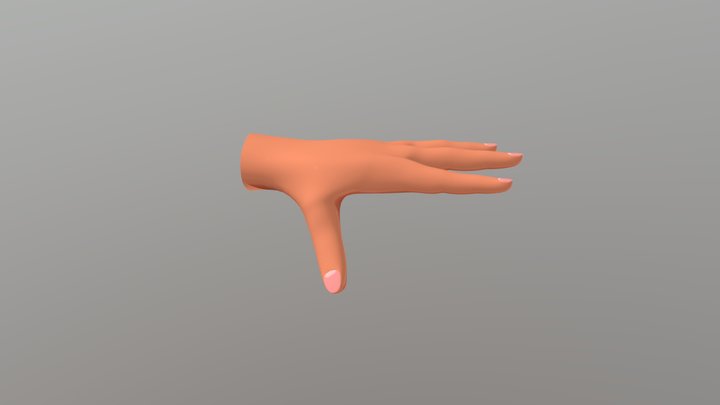 base_hands 3D Model