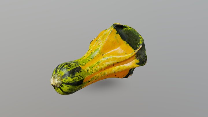 Autumn Wing Gourd 3D Model
