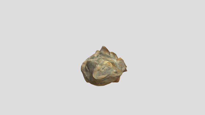 Vicarya yokoyamai（ビカリア） 3D Model