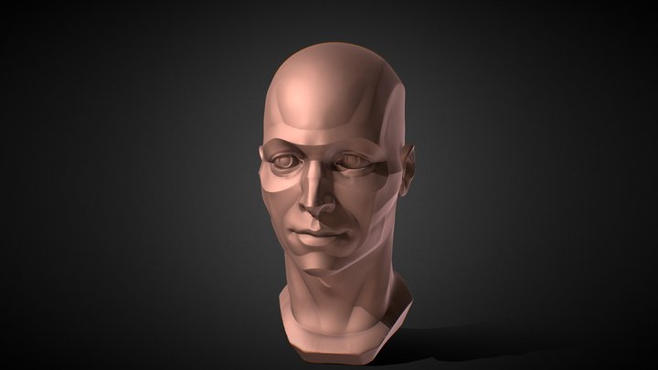 Head Planes - Reference 3D Model