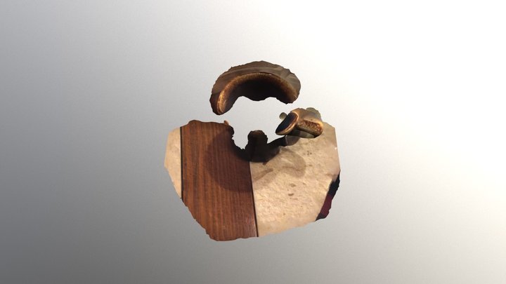 Nottt 3D Model