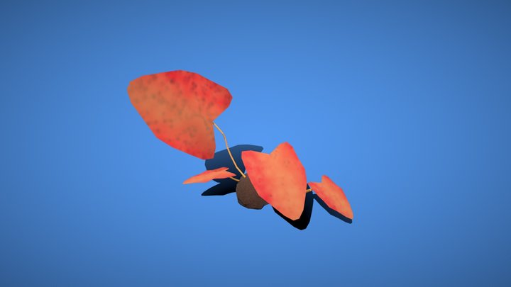Tiger lotus low poly