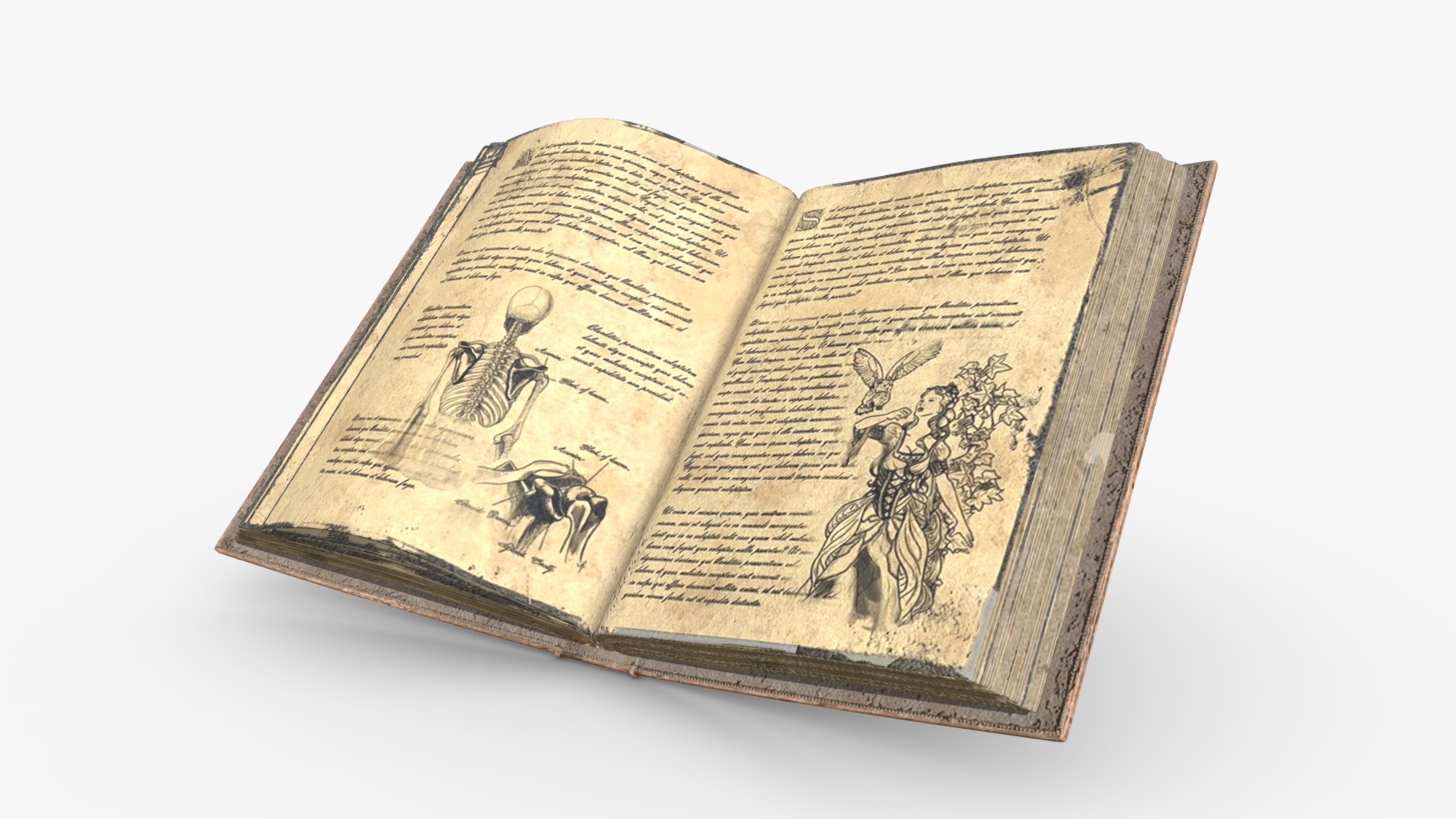 3D model Old Book - This is a 3D model of the Old Book. The 3D model is about text, letter.
