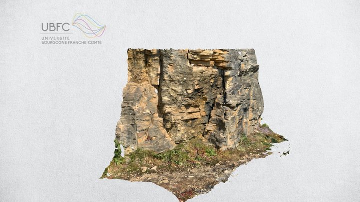 Bajocian limestone (Jura, France) 3D Model