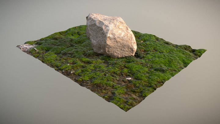 Stone On Moss - Photogrammetry workflow test 3D Model