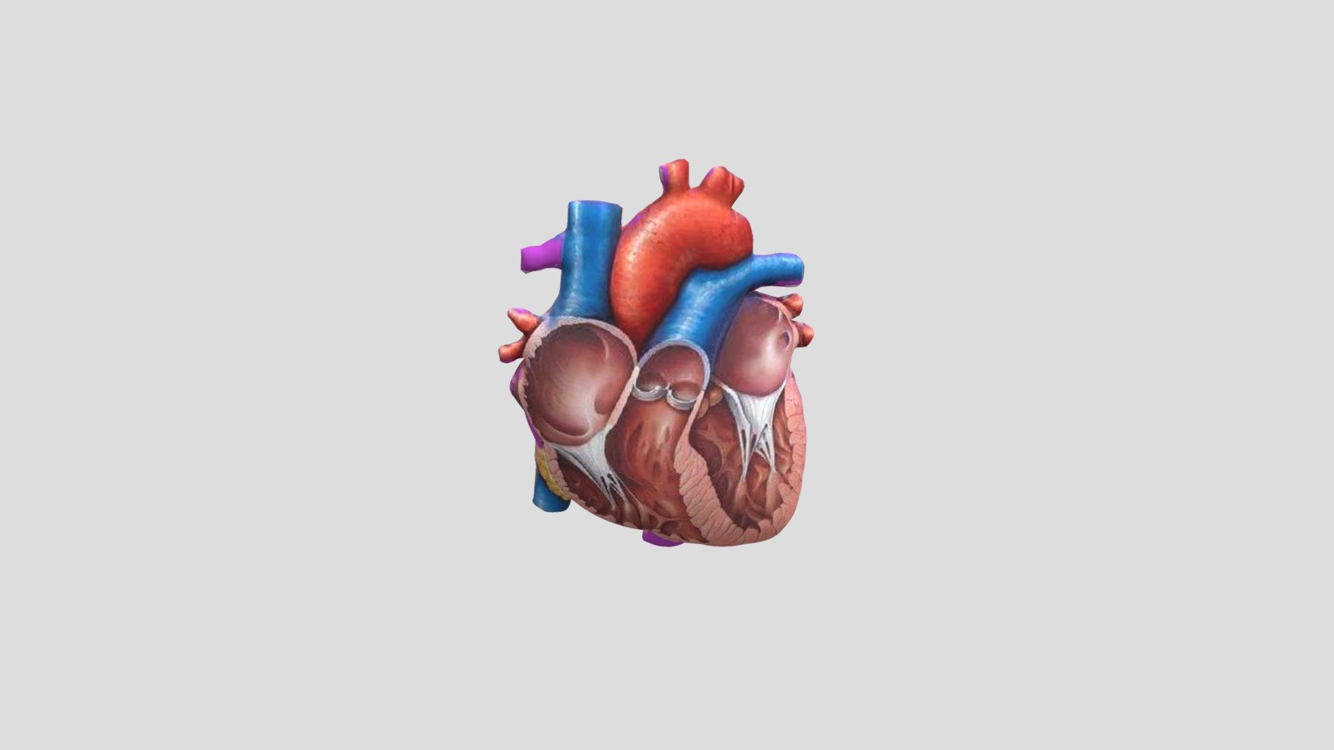 Cuore esempio upload
