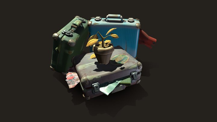 Suitcases and dead plant 3D Model