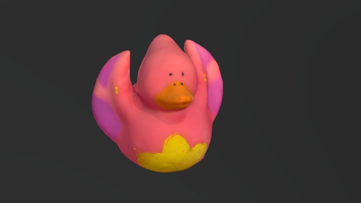 Duck #1 Treductal 3D Model