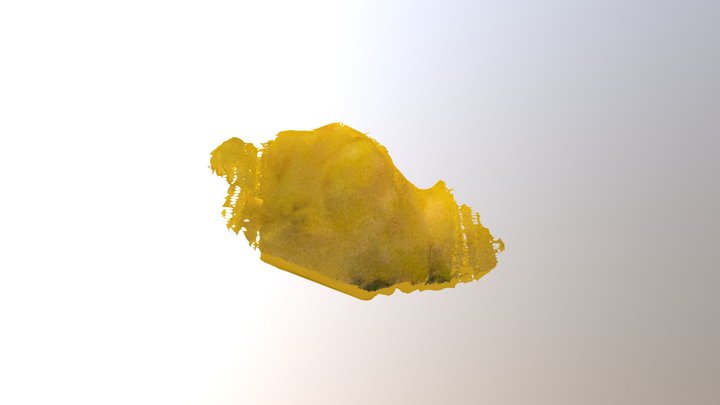 yellow 3D Model