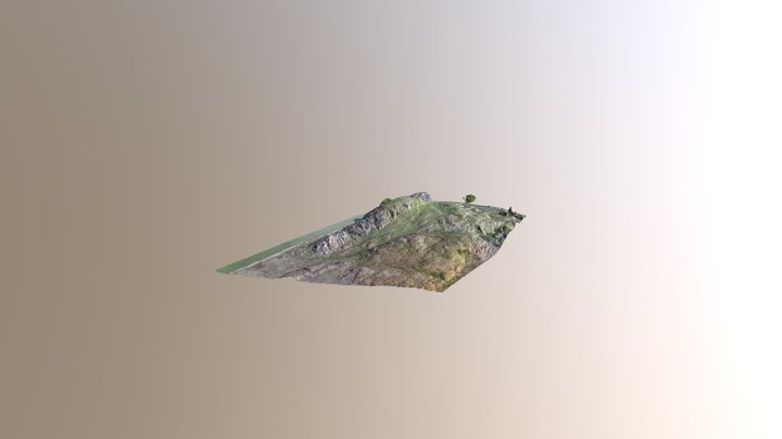 Dunadd Fort, Scotland 3D Model