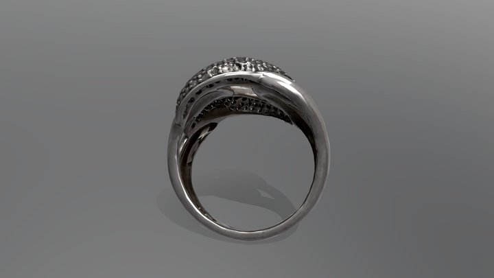 ring2-low-faces 3D Model