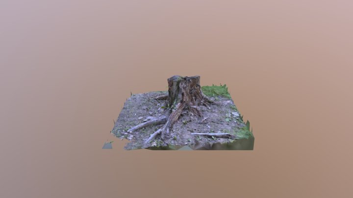 Stump 2 3D Model