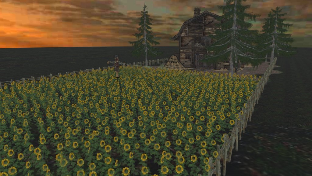 Sunflowers Field