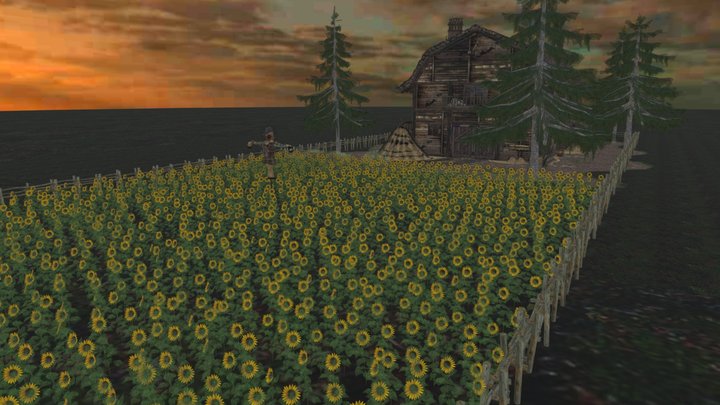 Sunflowers Field